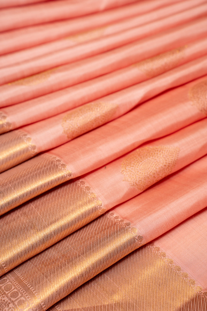 Salmon Peach Pastel Pure Kanchipuram Silk Saree - Clio Silks