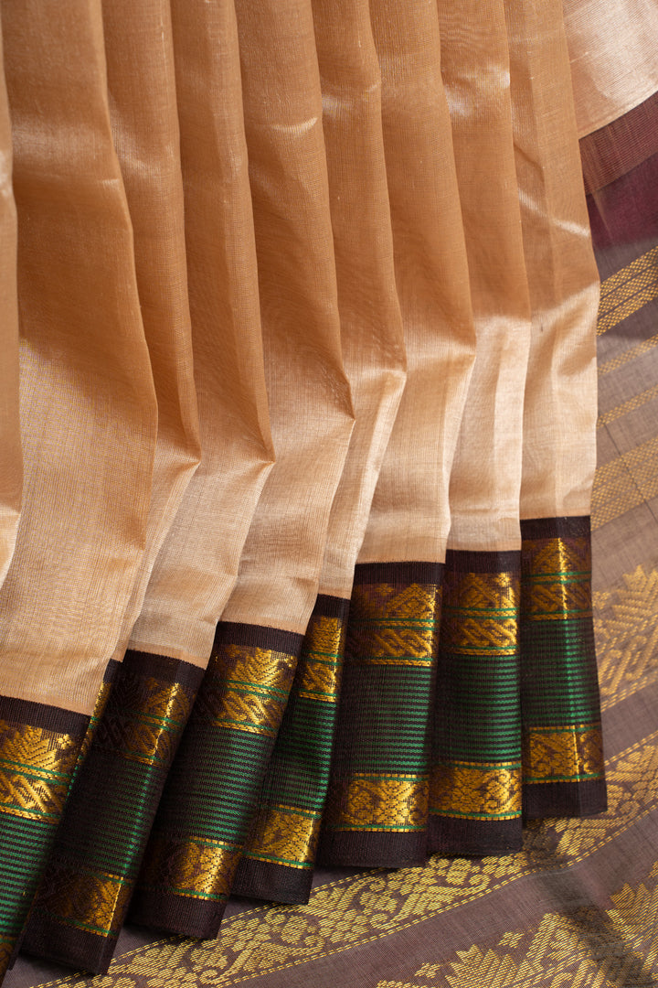 Biscuit beige pure silk cotton saree