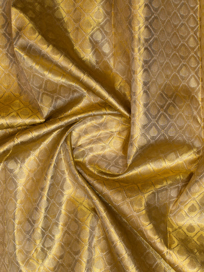 Silver and Gold Tissue Kanchipuram Silk Saree