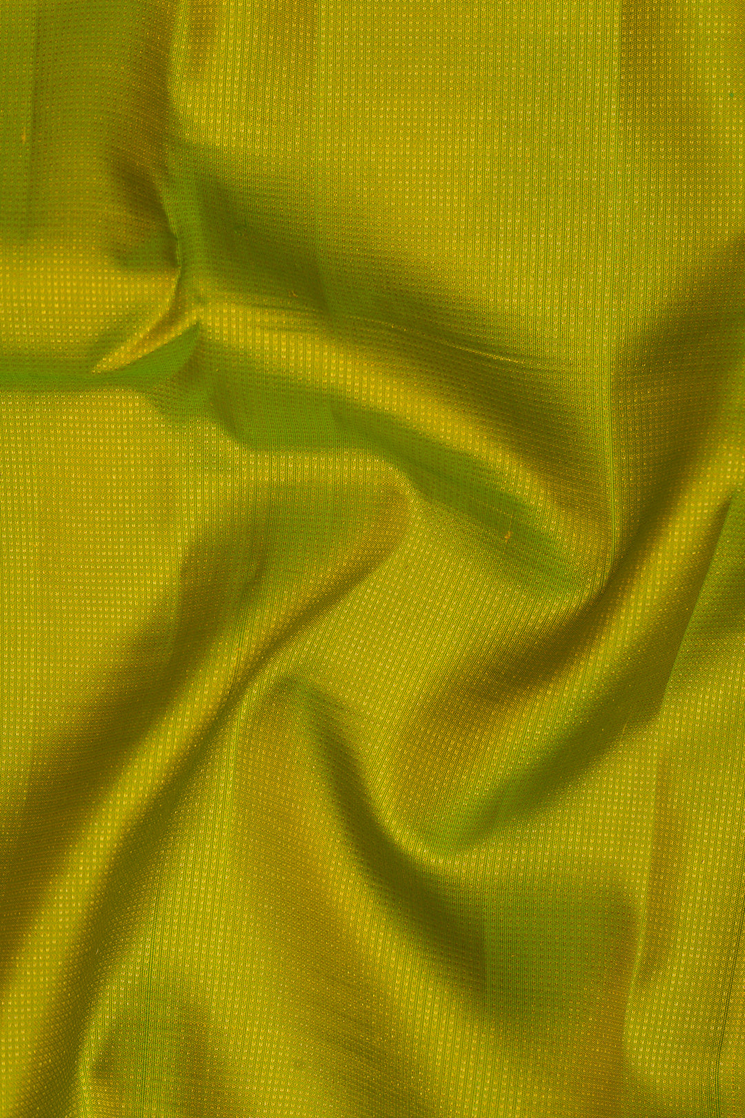 Lime Green and Purple Zari Self Pure Kanchipuram Silk Saree - Clio Silks