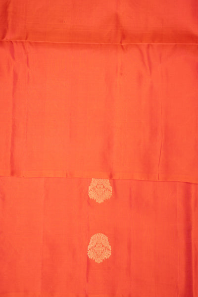 Peach Orange Borderless Pure Soft Silk Saree - Clio Silks