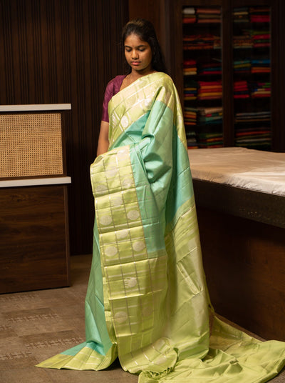 Pastel Blue and Green Pure Kanchipuram Silk Saree - Clio Silks