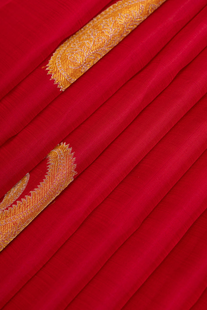 Rani pink paisley borderless pure Kanchipuram silk saree