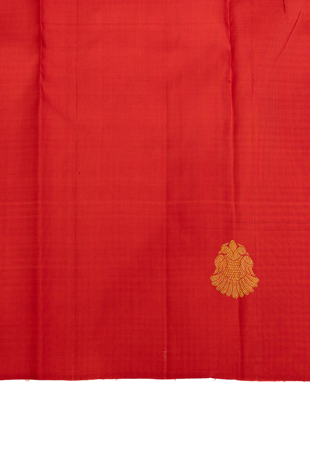 Black and white borderless checks pure Kanchipuram silk saree