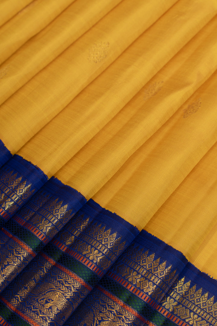 Yellow and MS blue pure Kanchipuram silk saree