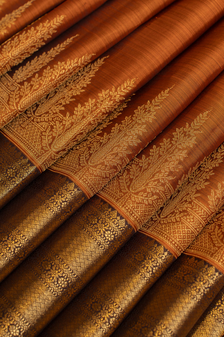 Rust orange turning border pure Kanchipuram silk saree