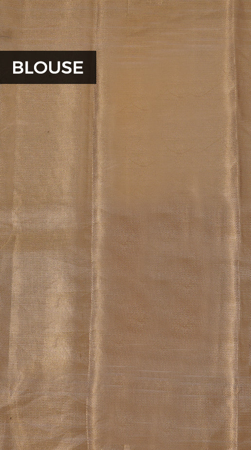 Silver Tissue Banaras Saree - Clio Silks
