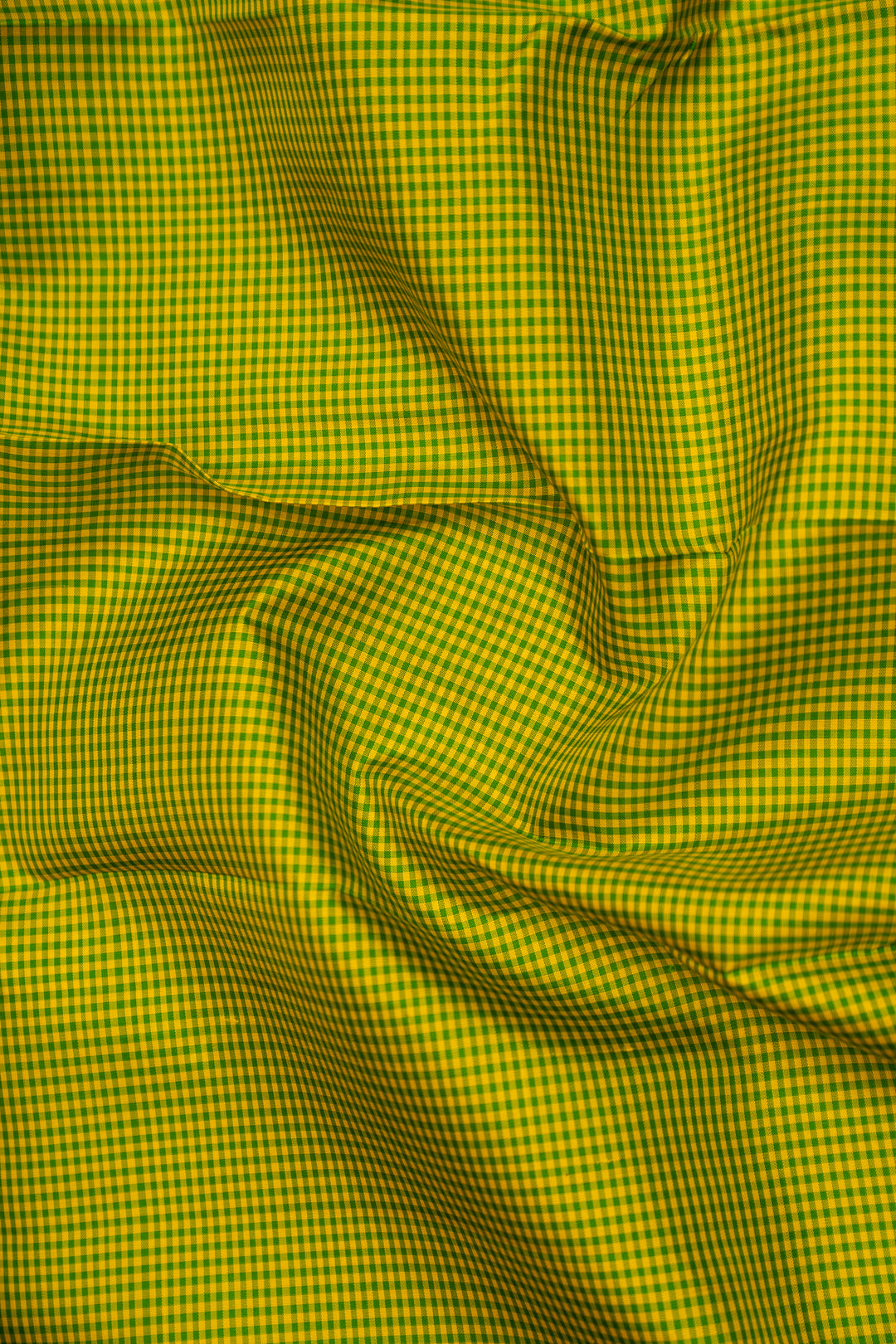Lime Green and Navy Blue Podikattam Pure Kanjivaram Silk Sari - Clio Silks