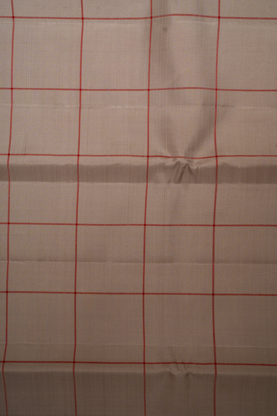 Cloud Grey and Red Checks Borderless Pure Zari Kanjivaram Silk Sari - Clio Silks