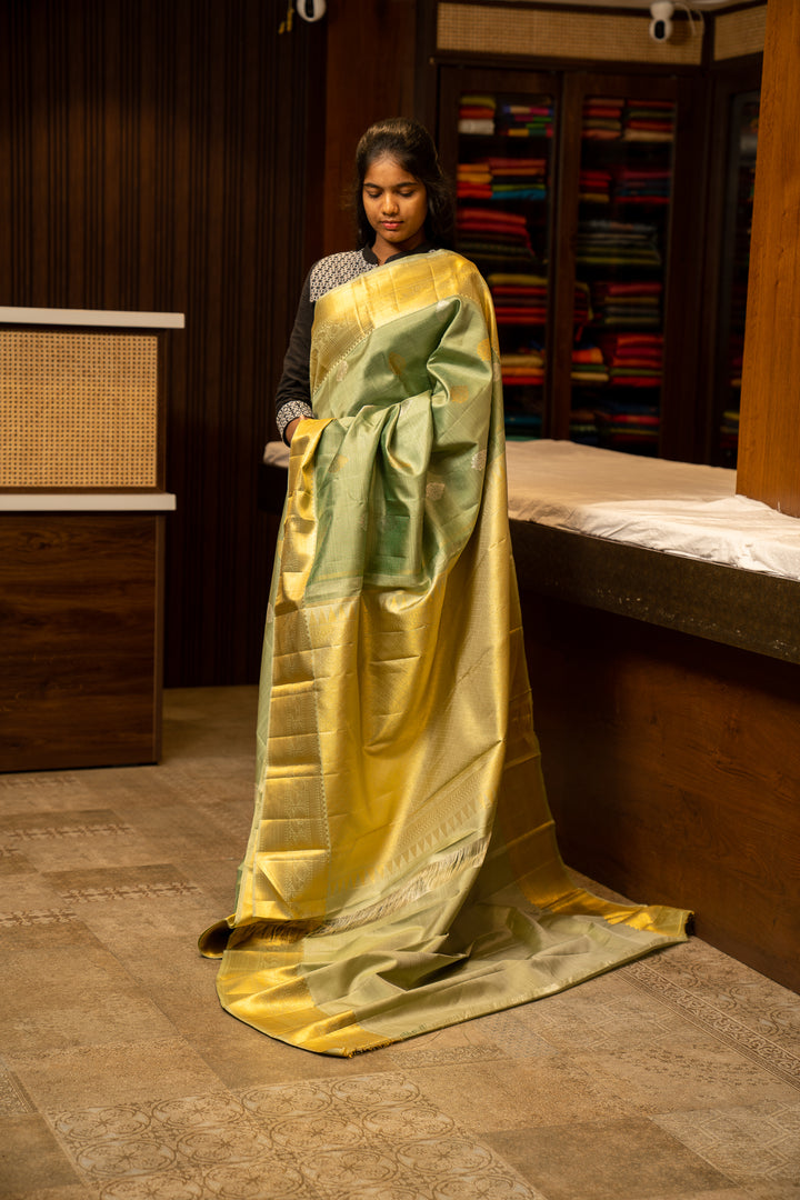 Sage Green Zari Seer Traditional Pure Kanjivaram Silk Sari - Clio Silks
